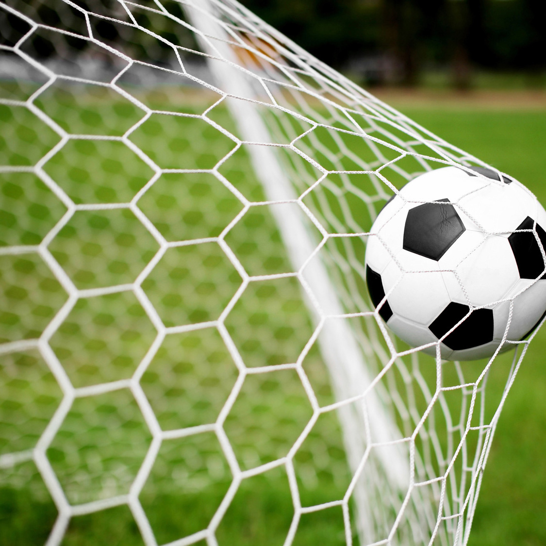 上海福睿然体育发展有限公司